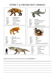 English Worksheet: Extinct and endangered animals