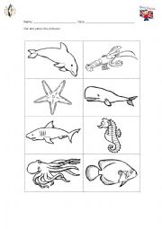 Sea animals