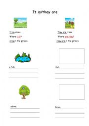 English Worksheet: Singular and plural