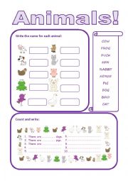 English Worksheet: Animals