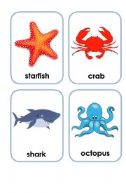 English Worksheet: flashcards sea creatures
