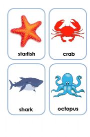 flashcards sea creatures