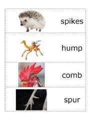 English Worksheet: animals body parts 2