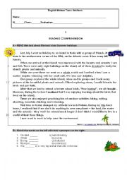 English Worksheet: Past Simple test - Holidays