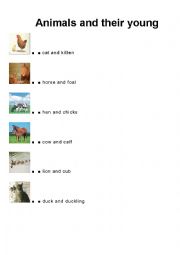 English Worksheet: Animals and their young