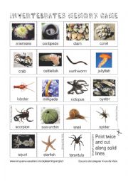 English Worksheet: Animals - Invertebrates Memory Game