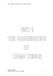 English Worksheet: organization of living thing