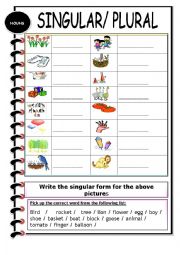 English Worksheet: Singular / Plural