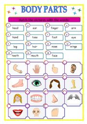 English Worksheet: Body parts - matching