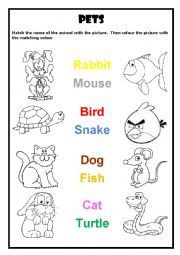 English Worksheet: Pets