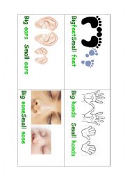 English Worksheet: Opposites