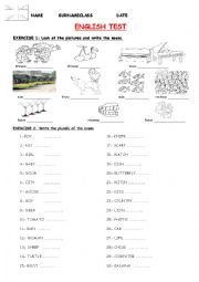 English Worksheet: PLURAL TEST