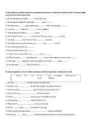 English Worksheet: possessive pronoun