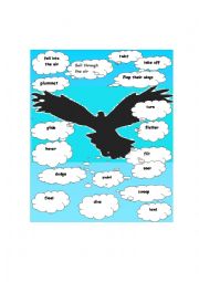 English Worksheet: fly