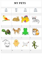 English Worksheet: My pets