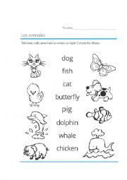 English Worksheet: The Animals