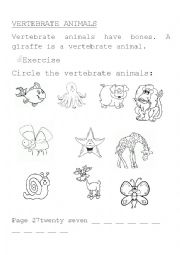 English Worksheet: vertebrate animals