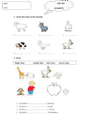 English Worksheet: bigger-smaller, taller-shorter