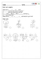 English Worksheet: PLANTS LIFE