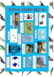 English Worksheet: IDIOMS: BIRDS