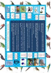 English Worksheet: IDIOMS: BIRDS (worksheet)