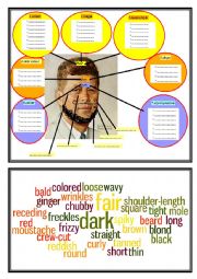 Face description vocabulary