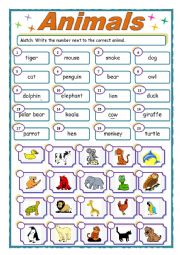 English Worksheet: Animals