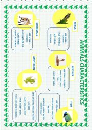 English Worksheet: animals posters 2