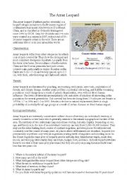 Amur Leopard Worksheet