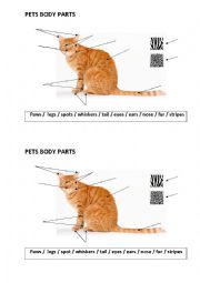English Worksheet: Pets body parts