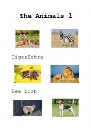 English Worksheet: The animal 1