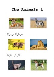 English Worksheet: The animal worksheet 1