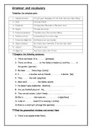 English Worksheet: test on grammar and vocabulary