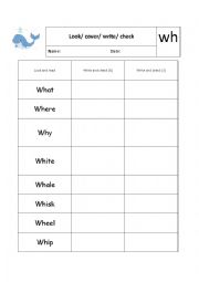 English Worksheet: wh spelling practice