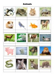 English Worksheet: The animals