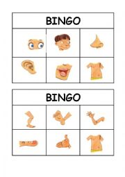 English Worksheet: BODY BINGO