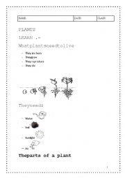 English Worksheet: PLANTS