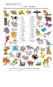 English Worksheet: Animals