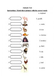 Animals Vocabulary Test Multiple Choice