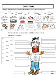 English Worksheet: The Body