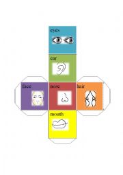 English Worksheet: facial feature dice-eyes ear nose mouth hair face
