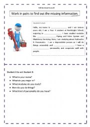 English Worksheet: Information Gap Exercise for Interview Practice