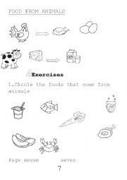 English Worksheet: Food from plants and animals