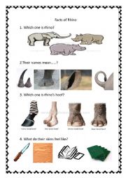 English Worksheet: Fun facts of rhino 