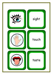 English Worksheet: THE FIVE SENSES [FLASHCARDS]