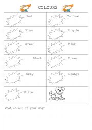 English Worksheet: colours