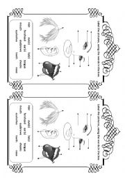 English Worksheet: Body parts - face