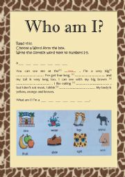 English Worksheet: Who am I?