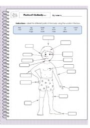 English Worksheet: Body parts