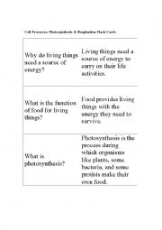 Flash Cards Photosynthesis & Respiration